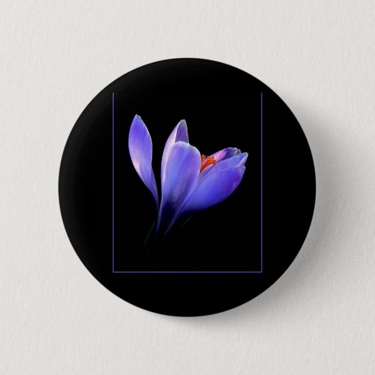 Badge Rond 5 Cm Fleur CROCUS pourpre (Devant)