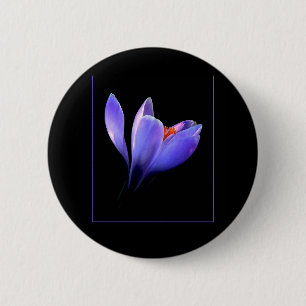 Badge Rond 5 Cm Fleur CROCUS pourpre