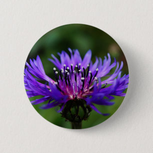 Badge Rond 5 Cm Fleur de Bleuet Fleurs de Bleuet Paix Amour Destin