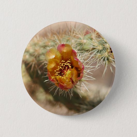 Badge Rond 5 Cm Fleur de cactus de Cholla (Devant)