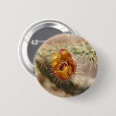 Badge Rond 5 Cm Fleur de cactus de Cholla (Devant & derrière)