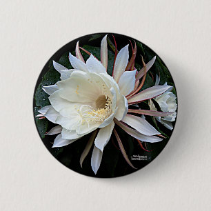 Badge Rond 5 Cm Fleur de cactus épiphyte