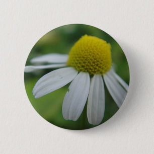 Badge Rond 5 Cm Fleur de camomille