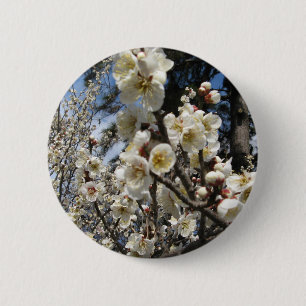 Badge Rond 5 Cm Fleur de cerisier blanc / Sakura / ク(桜)