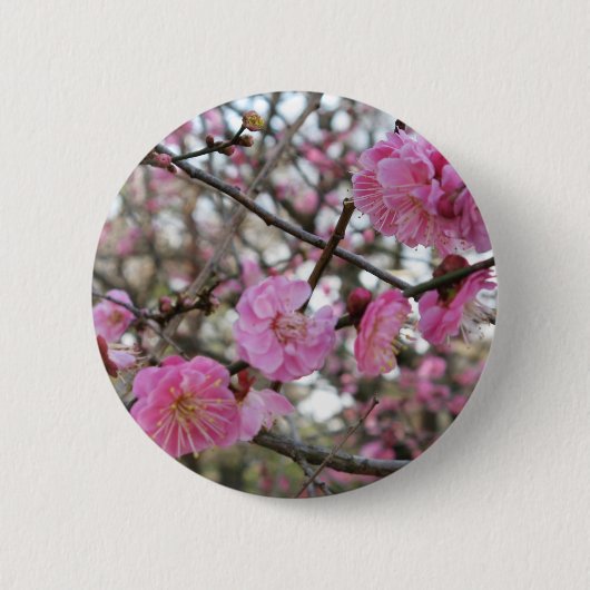 Badge Rond 5 Cm Fleur de cerisier rose / Sakura / ク(桜) (Devant)