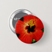 Badge Rond 5 Cm Fleur d'Hibiscus rouge-orange (Devant & derrière)