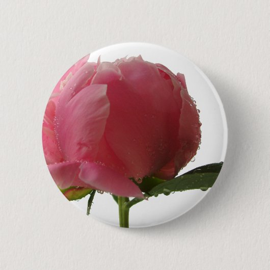 Badge Rond 5 Cm Fleur rose de pivoine (Devant)