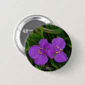 Badge Rond 5 Cm Fleur sauvage Fuchsia Spiderwort Hot Springs Cadea (Devant & derrière)