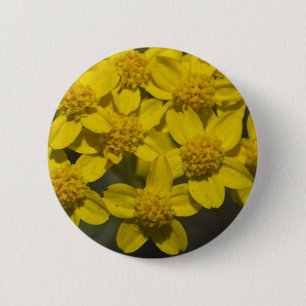 Badge Rond 5 Cm Fleur sauvage jaune