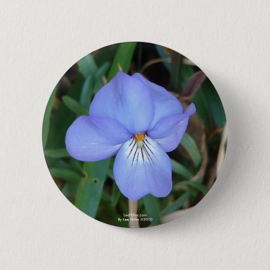 Badge Rond 5 Cm Fleur sauvage Oiseaux-Pied Violet IV sources therm (Devant)