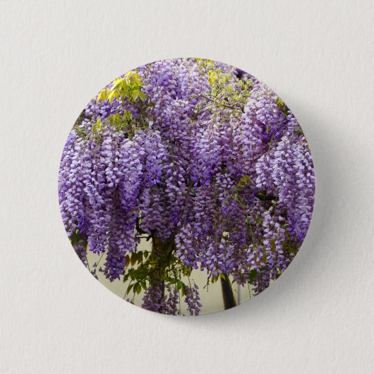 Badge Rond 5 Cm Fleurs de bisteria violet (Devant)