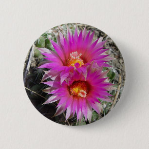 Badge Rond 5 Cm Fleurs de cactus balle F5 "Escobaria vivipara"