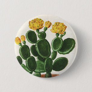 Badge Rond 5 Cm Fleurs de cactus vintages, Cactus Succulents Plant