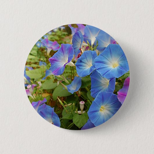 Badge Rond 5 Cm Fleurs de gloire du matin (Devant)