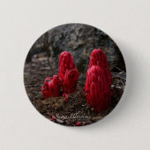 Badge Rond 5 Cm Fleurs de neige (Devant)