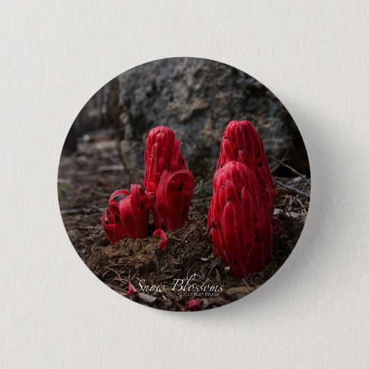 Badge Rond 5 Cm Fleurs de neige (Devant)