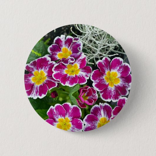 Badge Rond 5 Cm Fleurs de primrose violet et jaune (Devant)