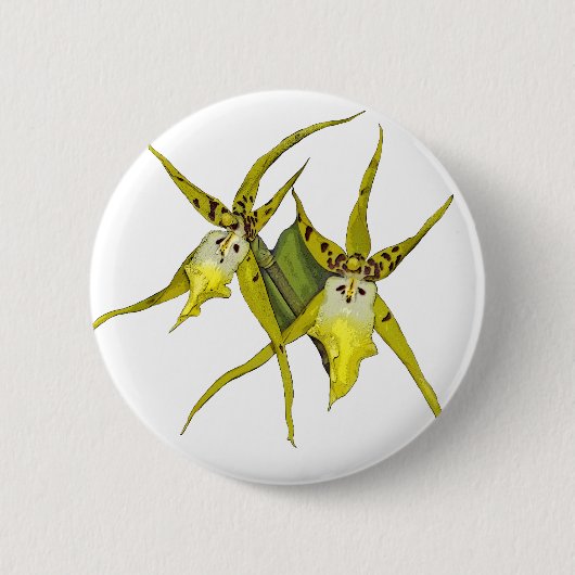 Badge Rond 5 Cm Fleurs d'orchidée (Devant)