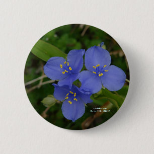 Badge Rond 5 Cm Fleurs sauvages Blue Spiderwort Hot Springs AR Cad