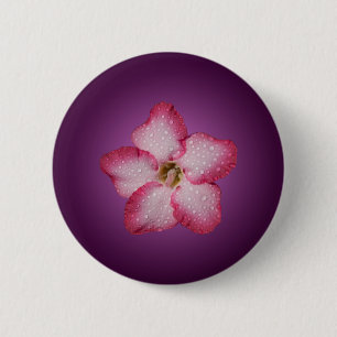 Badge Rond 5 Cm Flore rose Adenium Violet rayé