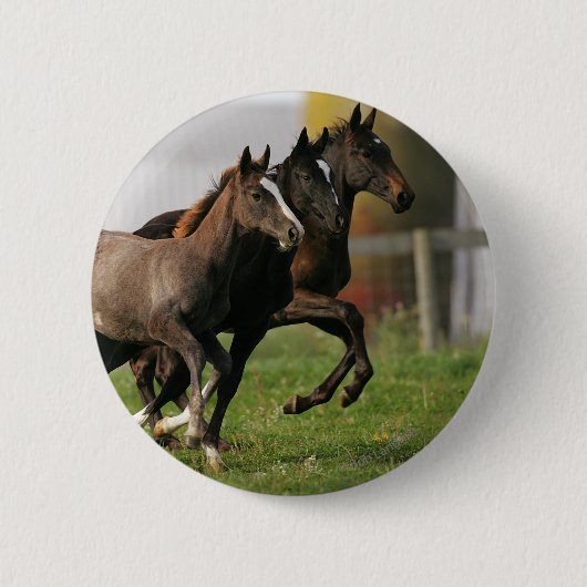 Badge Rond 5 Cm Fonctionnement de poulain (Devant)