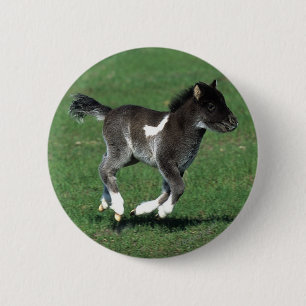 Badge Rond 5 Cm Fonctionnement miniature de poulain