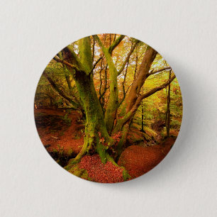 Badge Rond 5 Cm Forêt d'automne