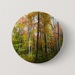 Badge Rond 5 Cm Forêt d'automne I Photographie de paysage automnal