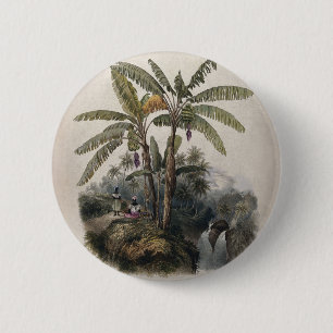 Badge Rond 5 Cm Forêt tropicale antique de bananiers   Bota vintag