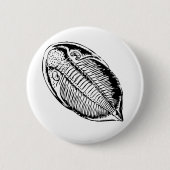 Badge Rond 5 Cm fossile Triliobite (Devant)