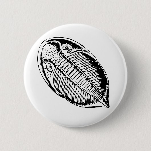 Badge Rond 5 Cm fossile Triliobite (Devant)