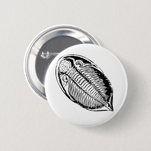 Badge Rond 5 Cm fossile Triliobite (Devant & derrière)