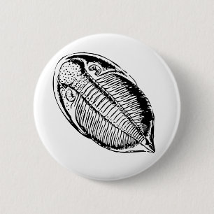 Badge Rond 5 Cm fossile Triliobite