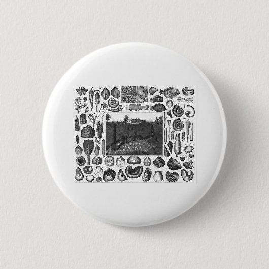 BADGE ROND 5 CM FOSSILES (Devant)