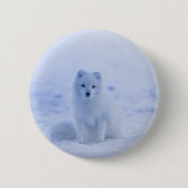 Badge Rond 5 Cm Fox arctique de l'Islande (Devant)