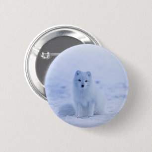 Badge Rond 5 Cm Fox arctique de l'Islande