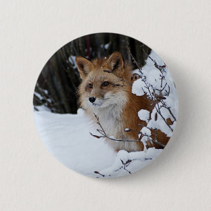 Badge Rond 5 Cm Fox rouge dans la neige