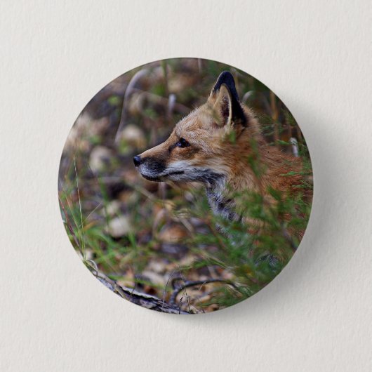 Badge Rond 5 Cm Fox rouge - Profil d'un Fox (Devant)