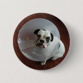 Badge Rond 5 Cm French Bulldog (Devant)