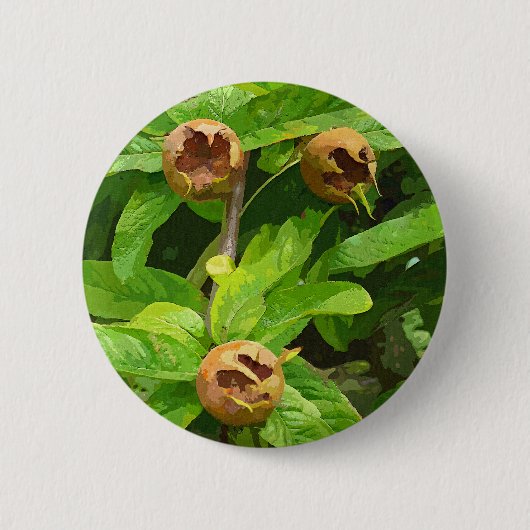 BADGE ROND 5 CM FRUIT MODLAIRE (Devant)