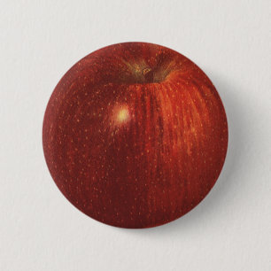 Badge Rond 5 Cm Fruit vintage, Pomme délicieuse Rouge bio
