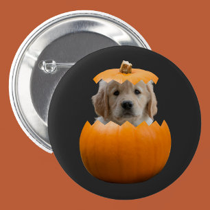 Badge Rond 5 Cm Fun Cute Personnalisé Halloween Citrouille Photo C