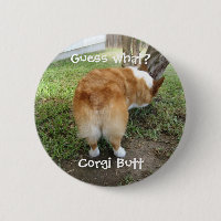 Funny Corgi Butt Devine Quel Humour Photo