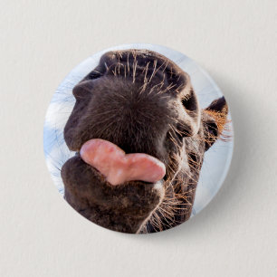 Badge Rond 5 Cm Funny Horse Lick Photographie