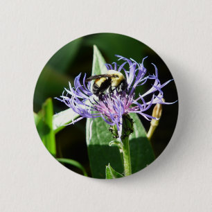 Badge Rond 5 Cm gaffez l'abeille, sur un bouton de célibataire