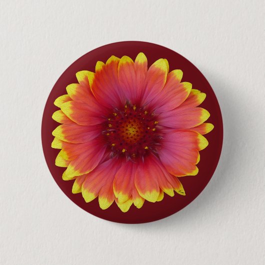 Badge Rond 5 Cm Gaillardia 1 (Devant)
