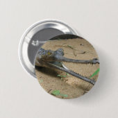 Badge Rond 5 Cm Gharial (Devant & derrière)