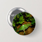 Badge Rond 5 Cm Giant Green Luna moth (Devant & derrière)