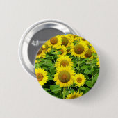 Badge Rond 5 Cm Gisements de tournesol (Devant & derrière)