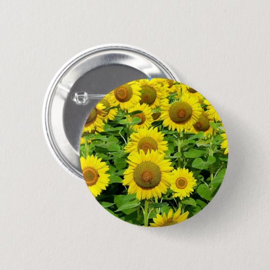 Badge Rond 5 Cm Gisements de tournesol (Devant & derrière)